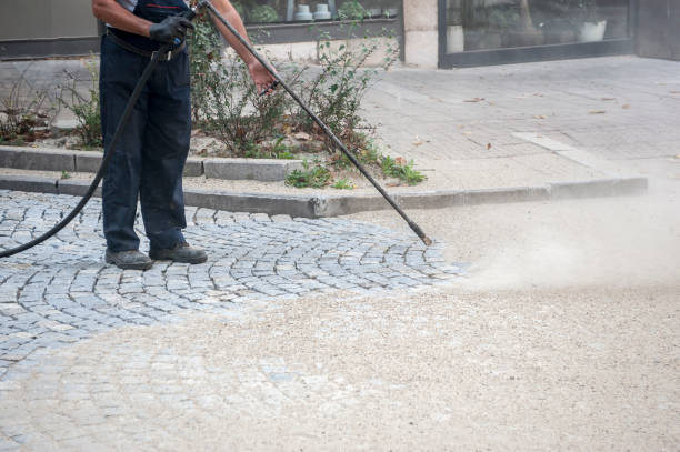 Best Warehouse Cleaning  in Woodville, AL
