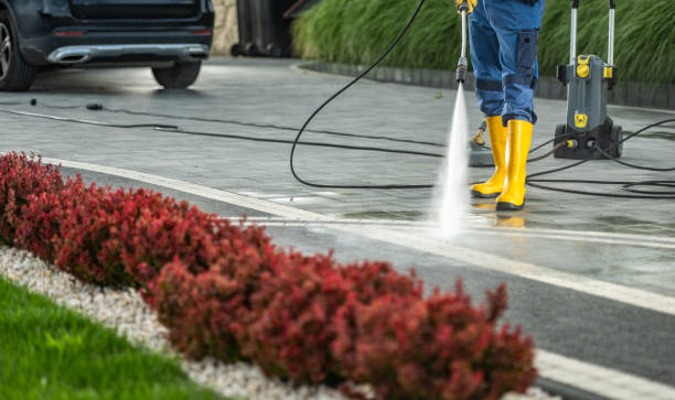 Best Factory Floor Cleaning  in Woodville, AL